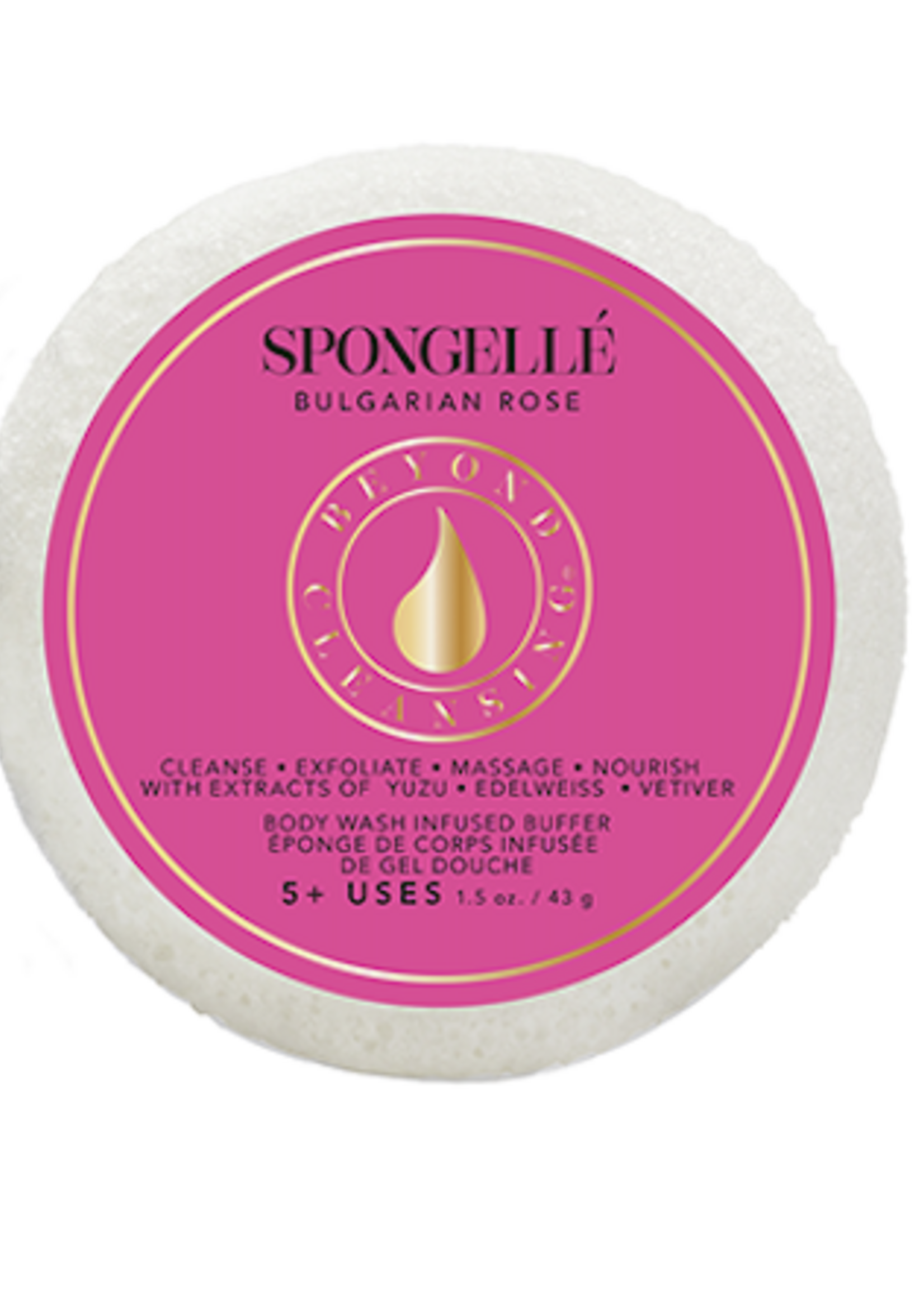 Spongelle Spongette Assorted Pack