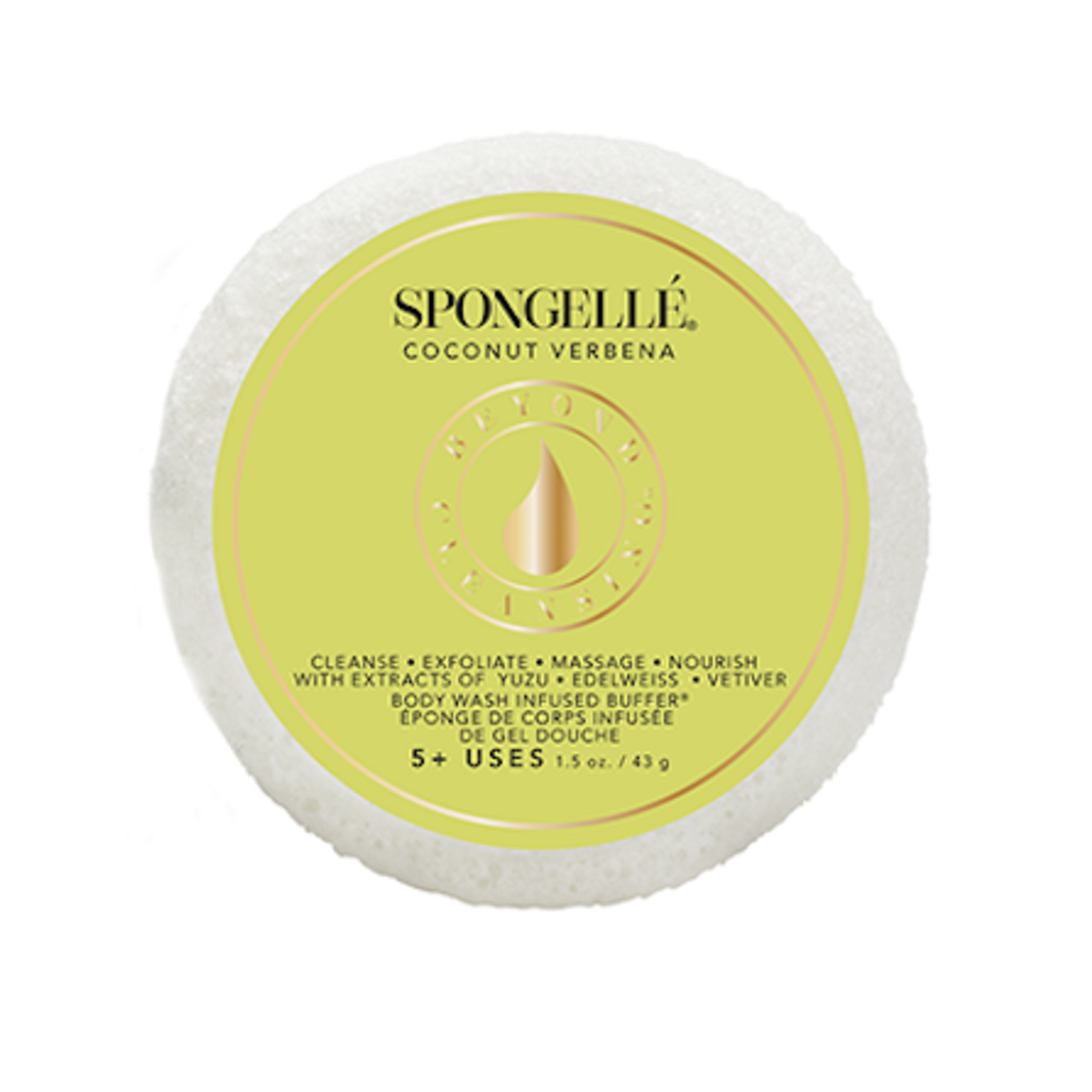 Spongelle Spongette Assorted Pack