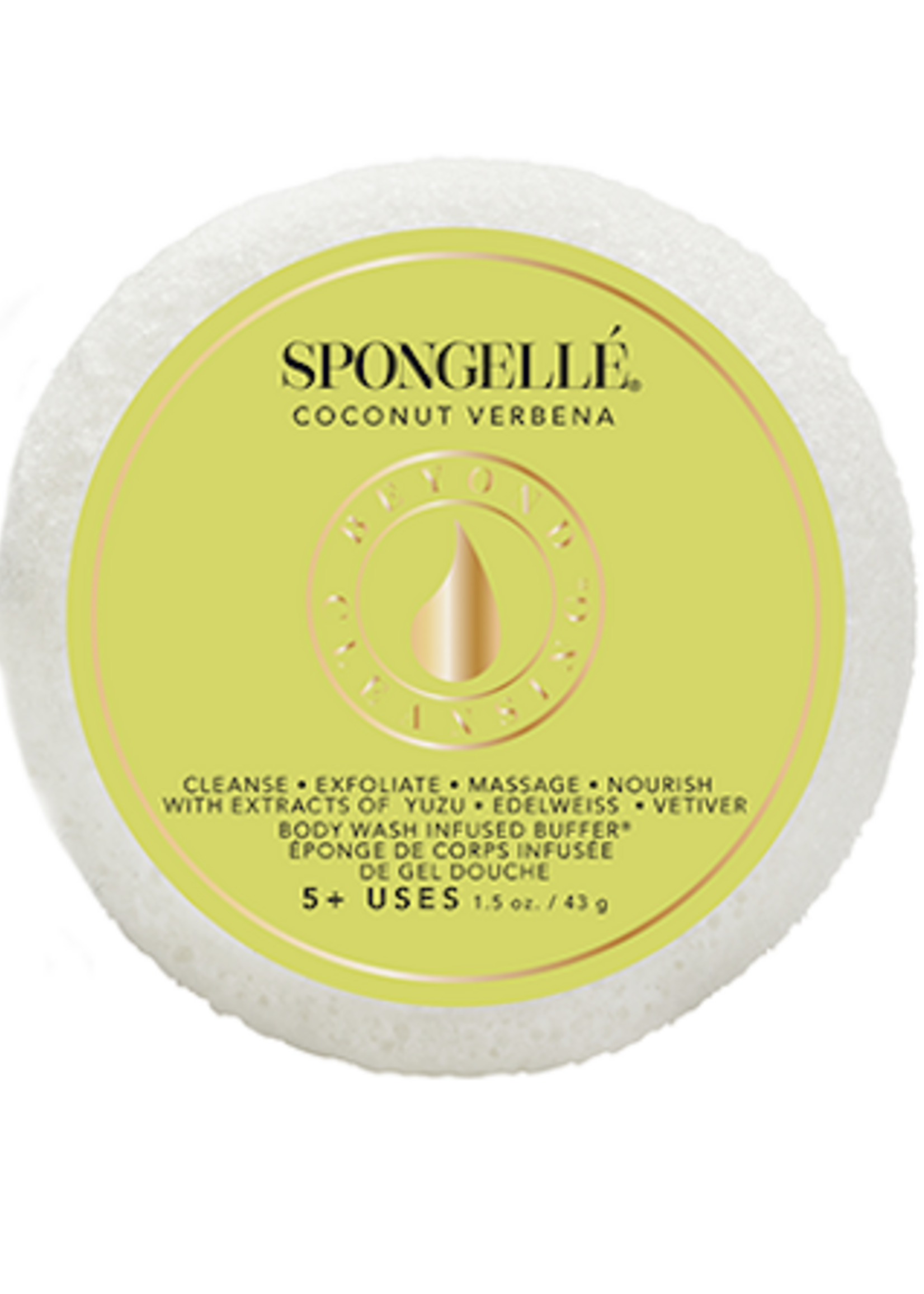 Spongelle Spongette Assorted Pack