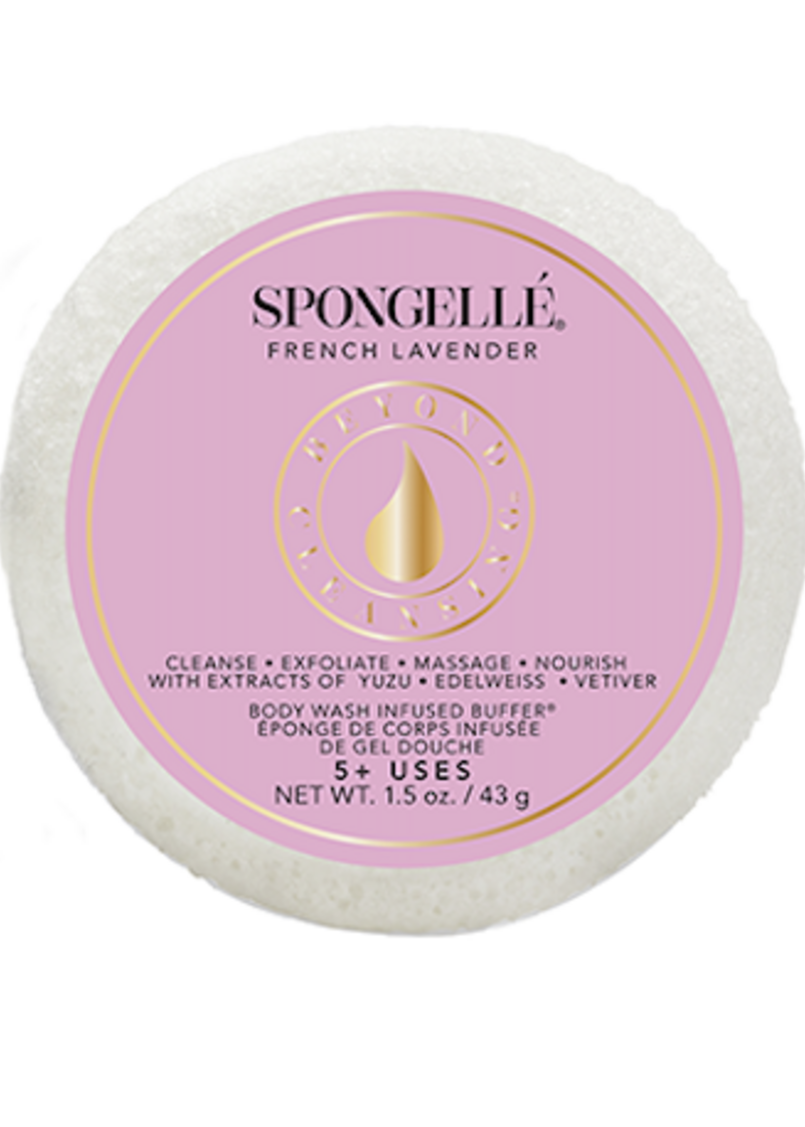 Spongelle Spongette Assorted Pack