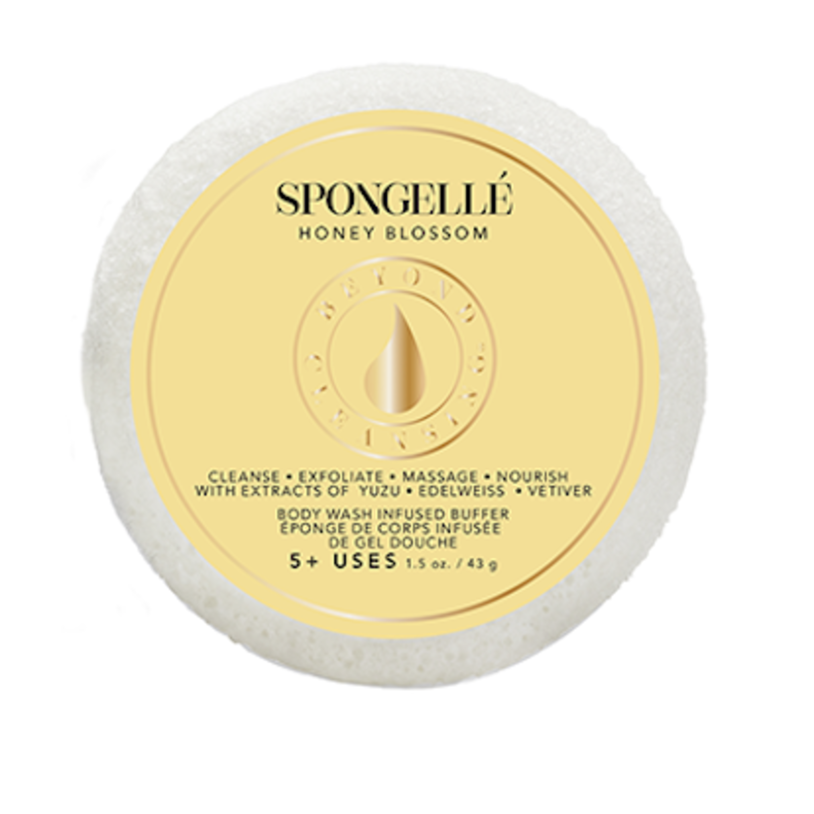 Spongelle Spongette Assorted Pack