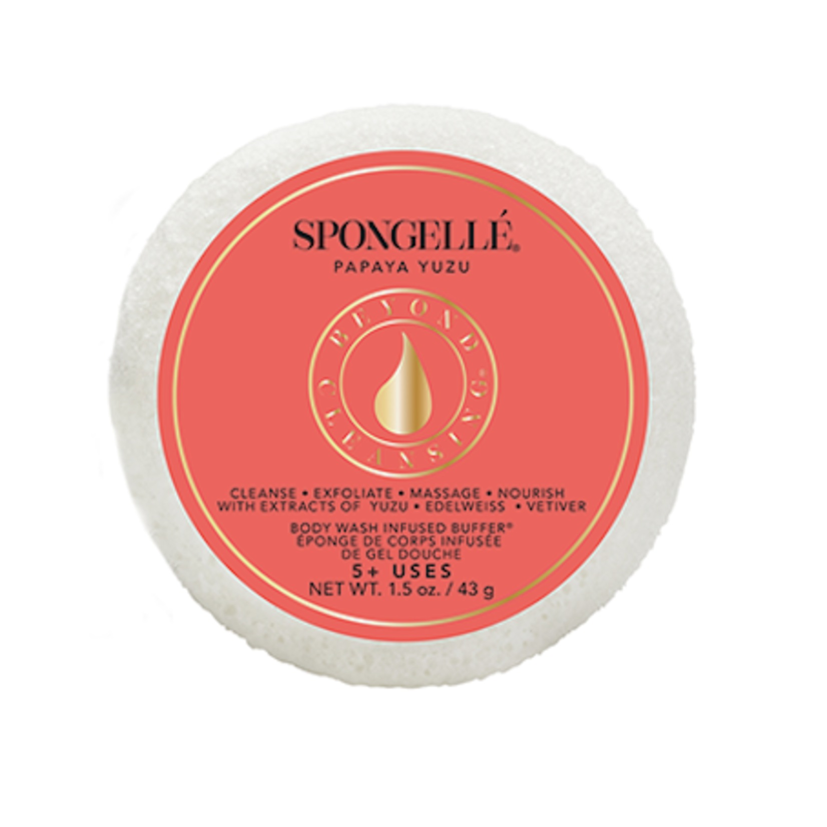 Spongelle Spongette Assorted Pack