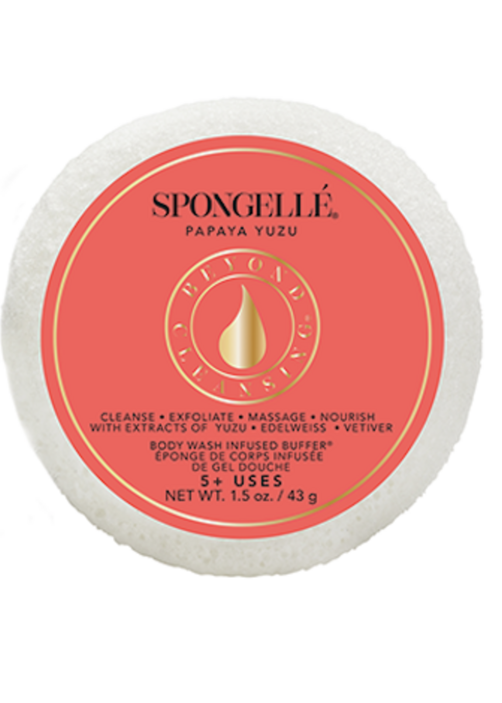 Spongelle Spongette Assorted Pack