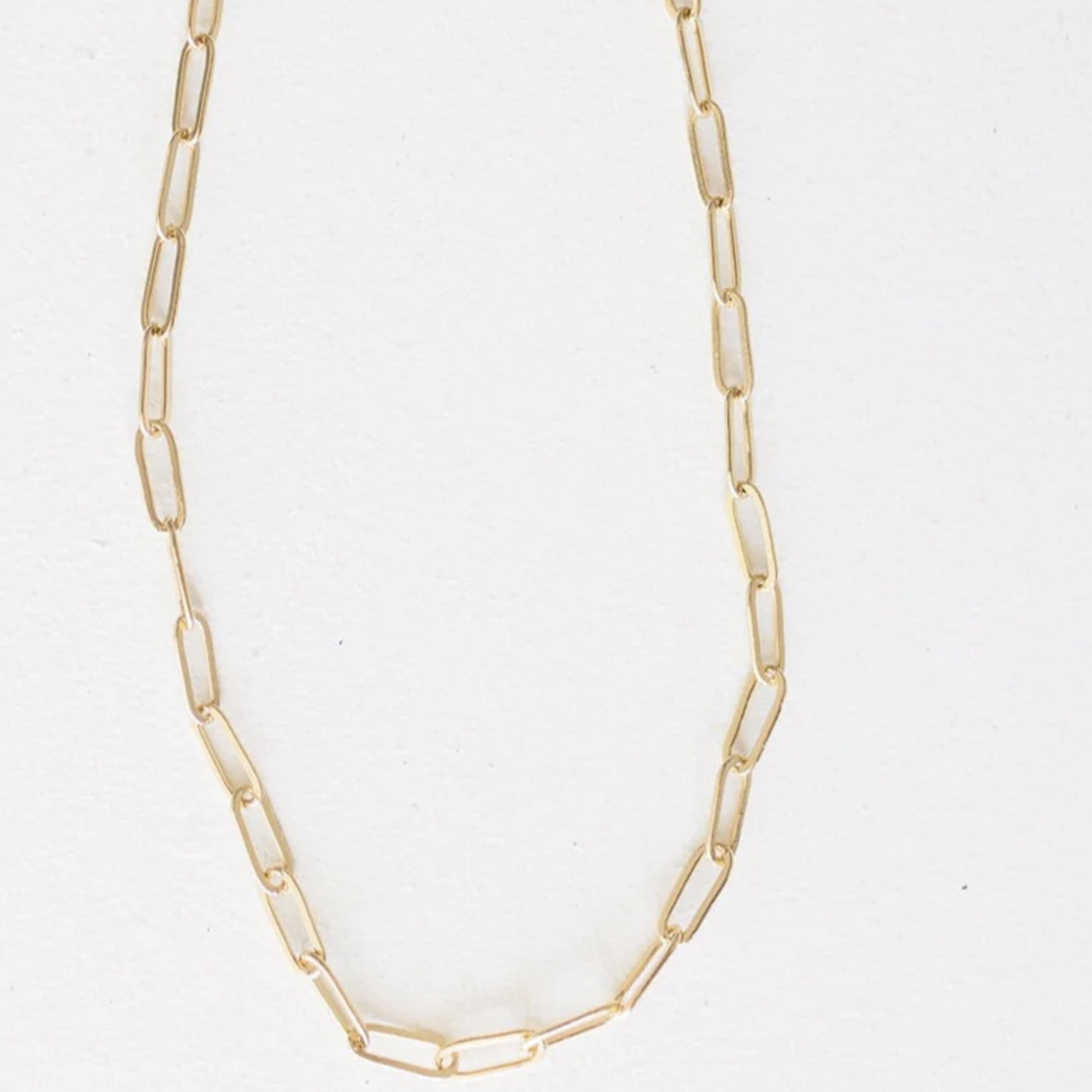 Leslie Curtis Jewelry Leann Small Paperclip Chain
