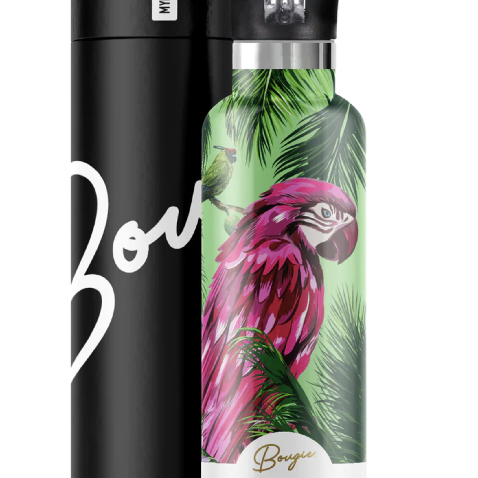 My Bougie Bottle 25oz Insulated Water Bottle- Macaw