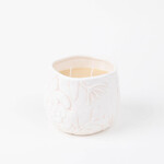Bridgewater Candle Company Sweet Grace Collection #057