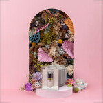 Bridgewater Candle Company Sweet Grace Home Fragrance Oil