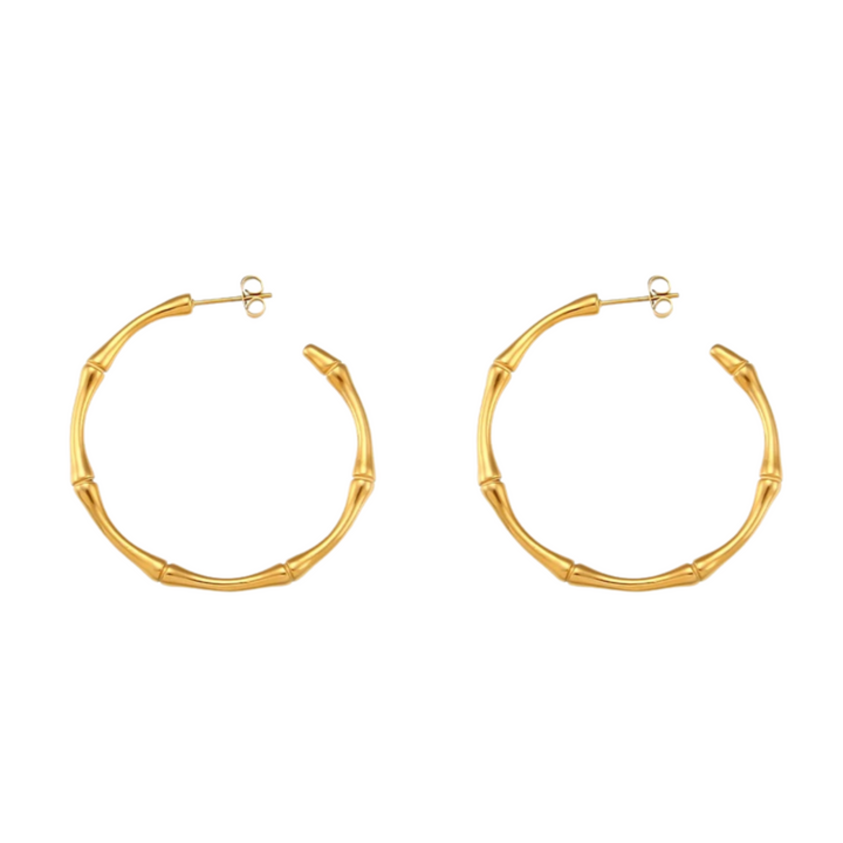 HJane Bailey Hoops
