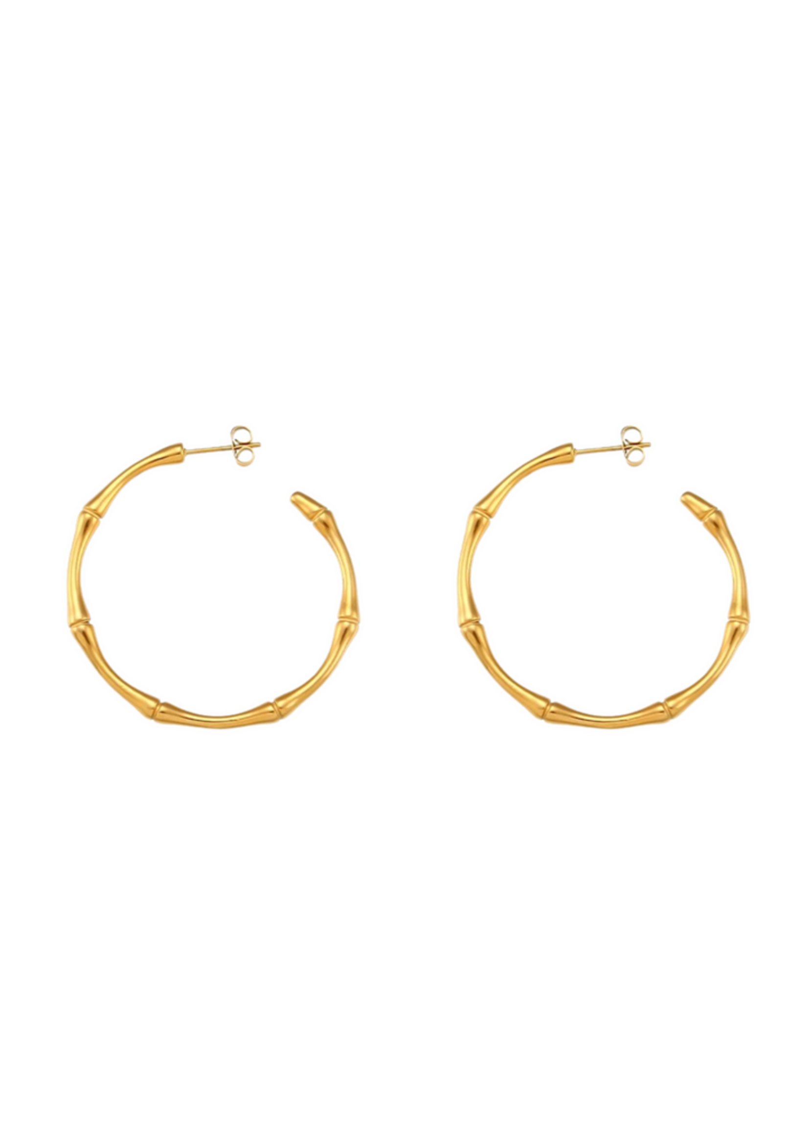 HJane Bailey Hoops