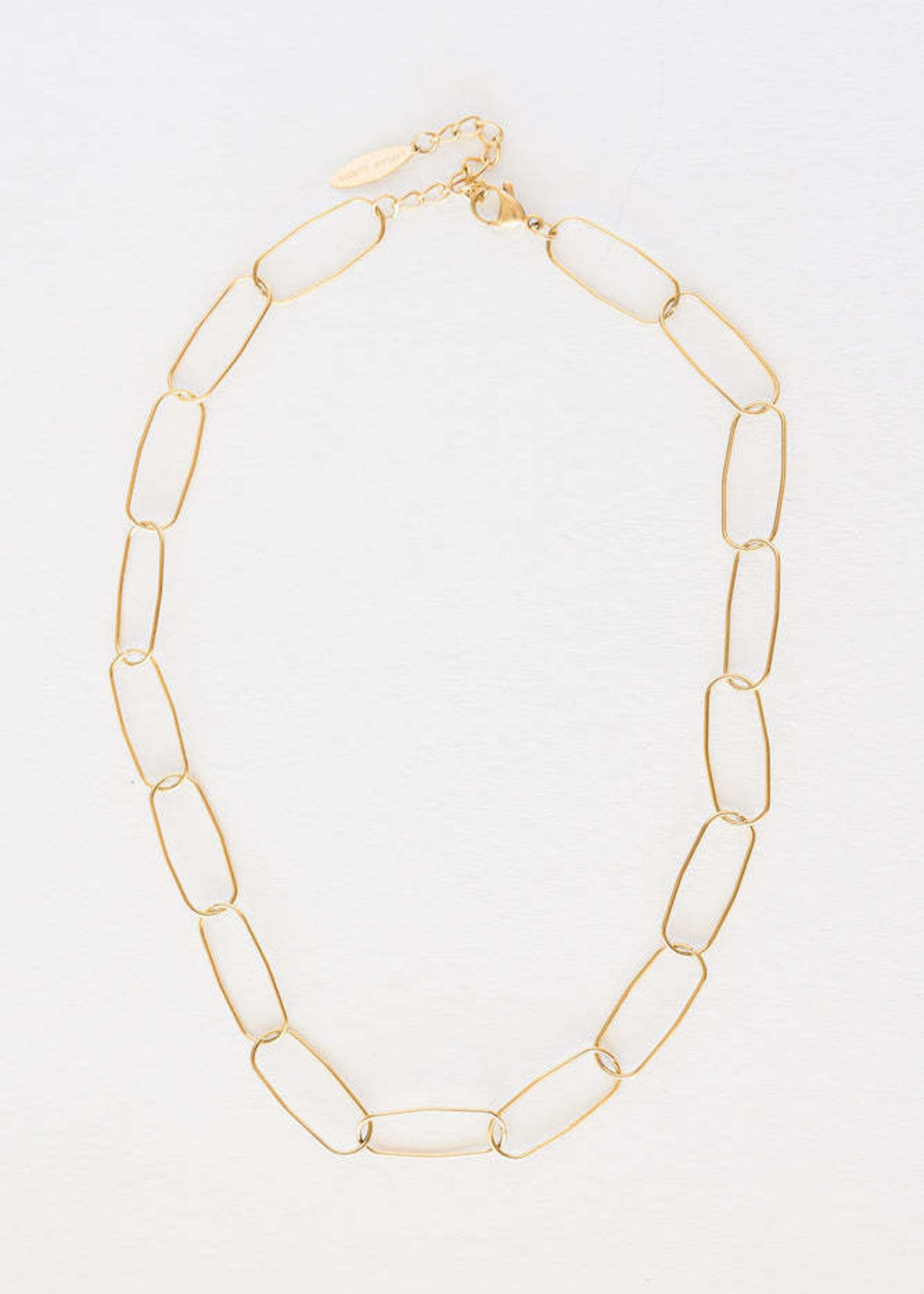 Leslie Curtis Jewelry Gabriel- Chunky Paperclip 16" +2"