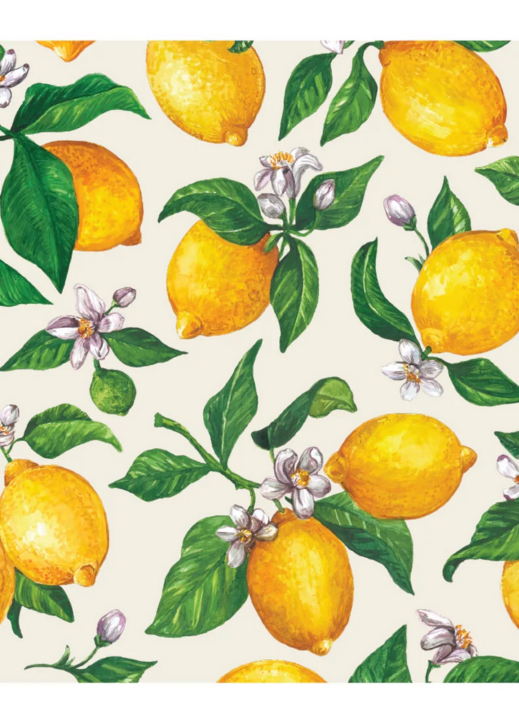 Hester & Cook Lemons Placemat- 24 sheets