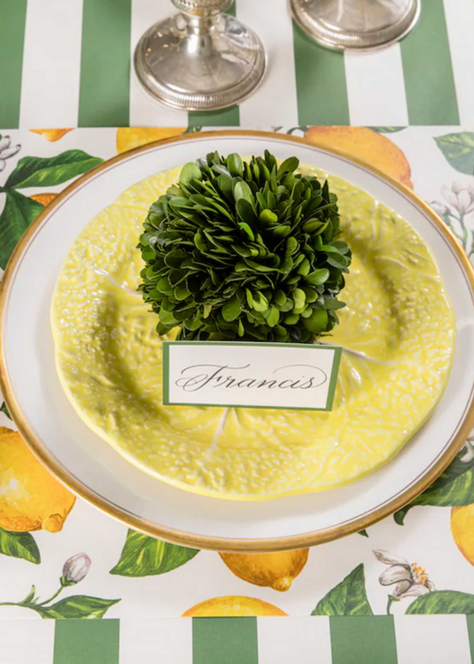 Hester & Cook Lemons Placemat- 24 sheets