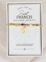 My Saint My Hero The Little Saints- Saint Francis Gold