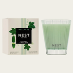 NEST New York Cucumber & White Sage Classic Candle