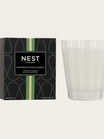 NEST New York Santorini Olive & Citron Classic Candle
