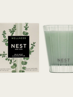 NEST New York Wild Mint & Eucalyptus Classic Candle