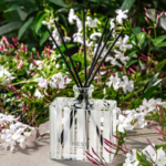 NEST New York Indian Jasmine Reed Diffuser