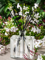 NEST New York Indian Jasmine Reed Diffuser