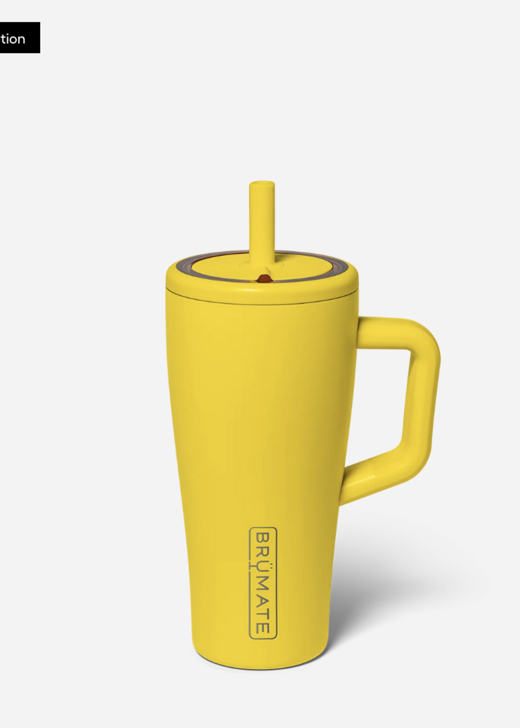 BruMate Era 20oz- Pineapple