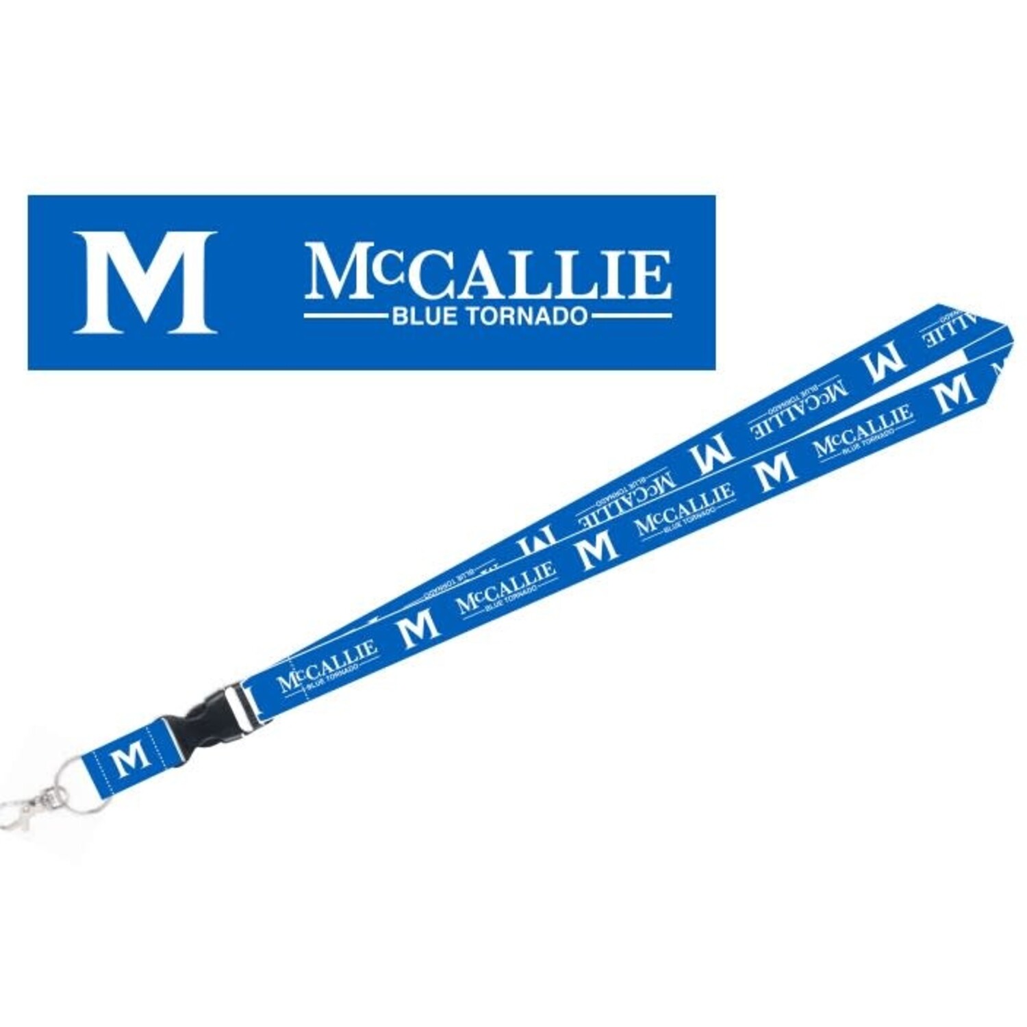 WinCraft NHL St. Louis Blues Charcoal Lanyard with Detachable Buckle :  Sports & Outdoors 