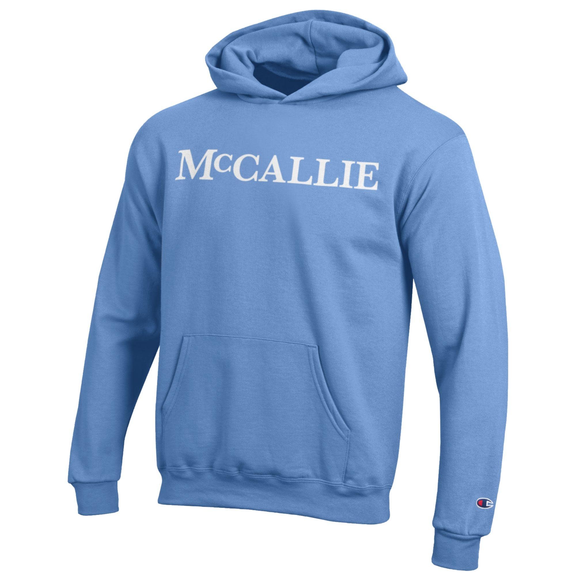 Champion powder blue hoodie hotsell