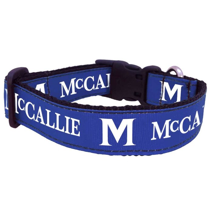 ALL STAR DOG COLLAR