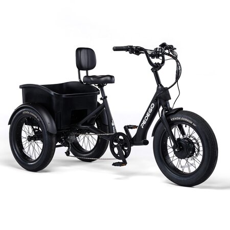 Fat Tire Trike