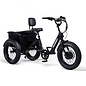 Fat Tire Trike