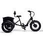 Fat Tire Trike