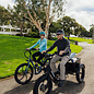 Fat Tire Trike