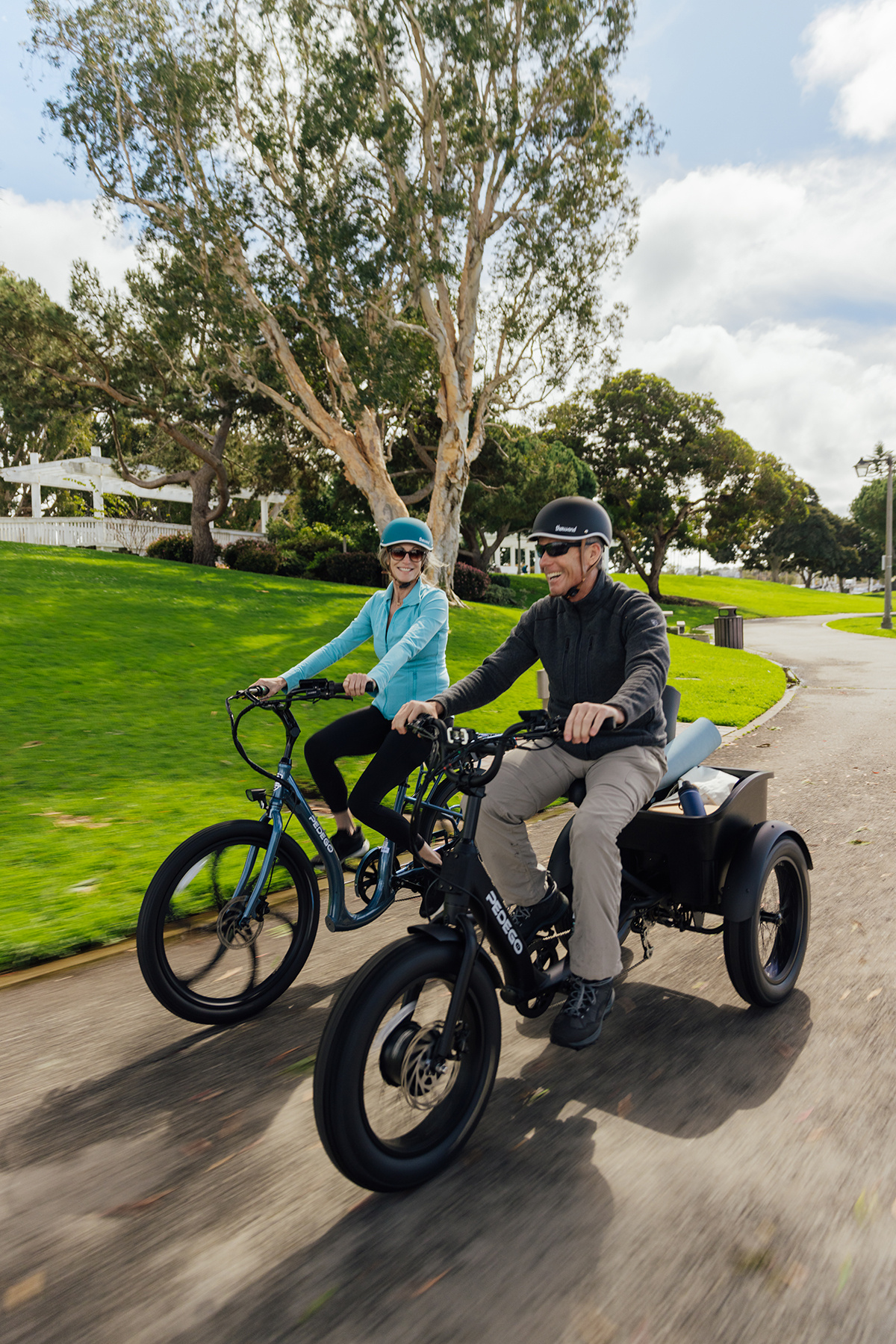 Fat Tire Trike