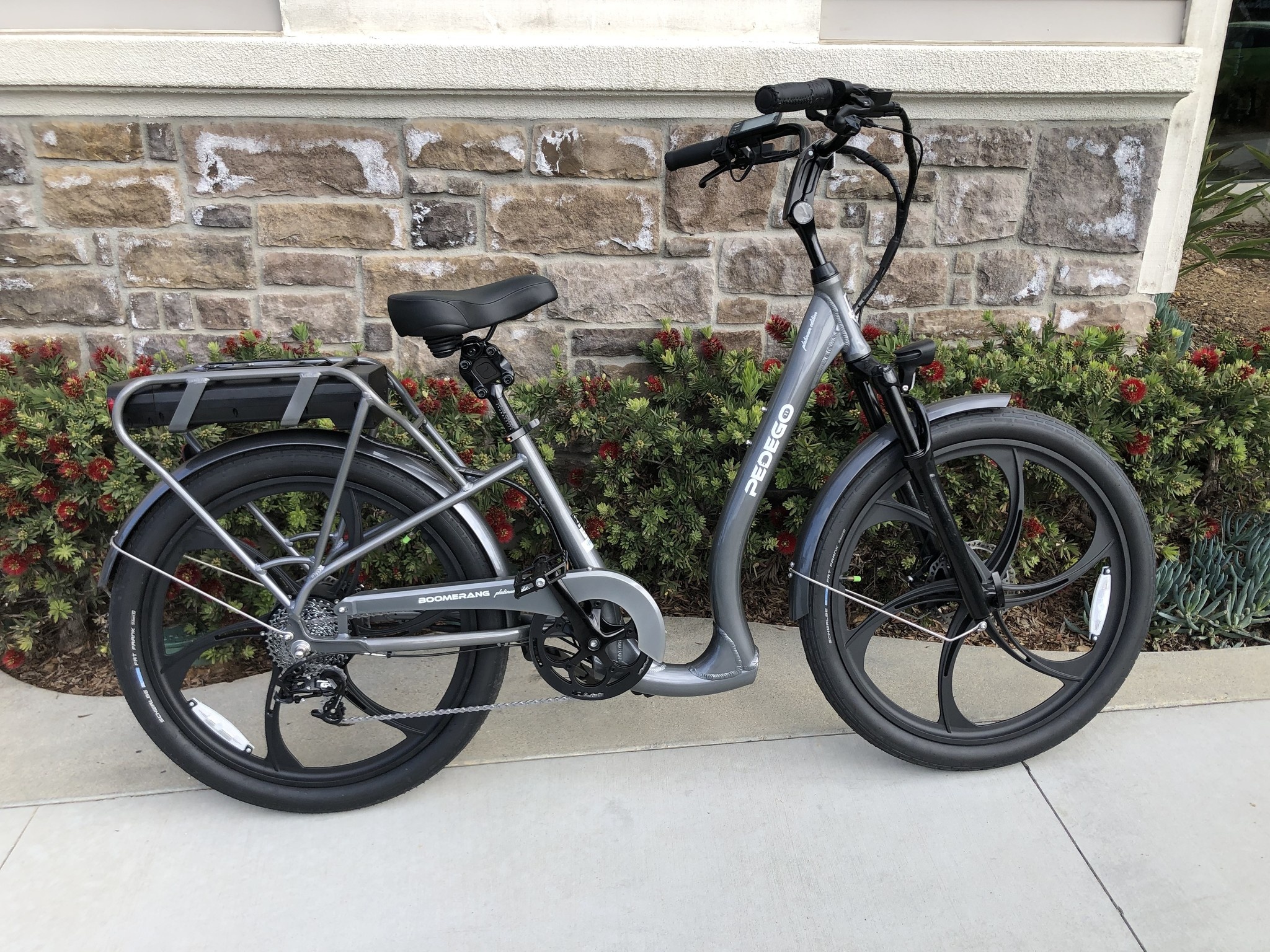 Boomerang Plus 24"  P749 PLATINUM EDITION