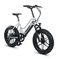 Element 20" V2 PLATINUM EDITION