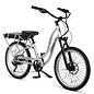 Interceptor Step-Thru 24" P749 PLATINUM Edition