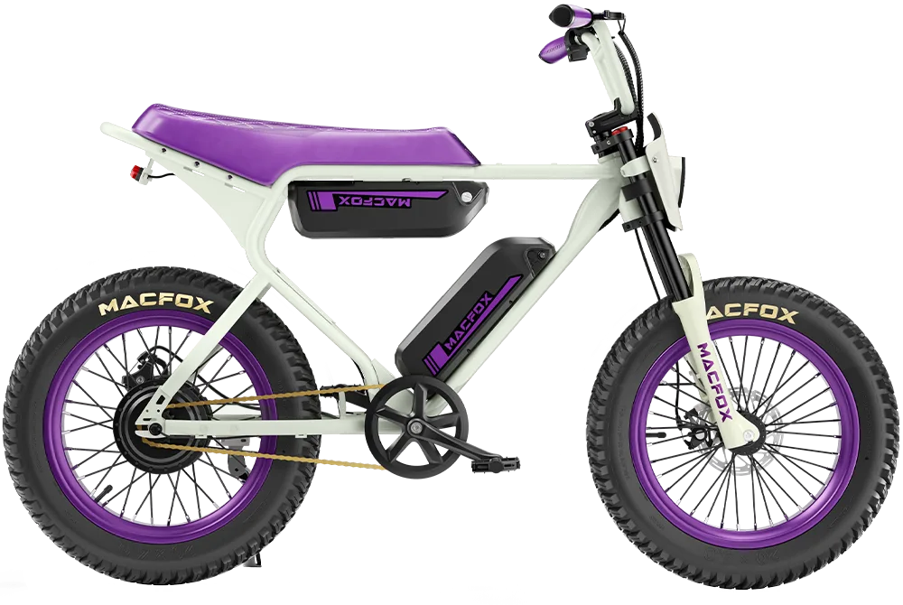 X1 20, Dual Battery