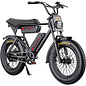 X1 20, Dual Battery