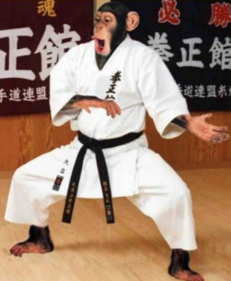 Surly Surly Karate Monkey Rigid Complete - Snow Mold White