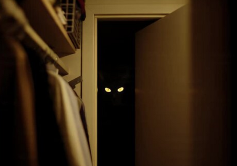 Surly Surly Bridge Club - Trevor's Closet Black