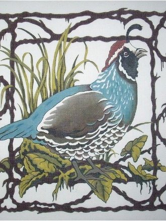 Peter Ashe PAN15 Quail