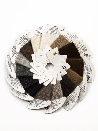 Rainbow Gallery Alpaca 18