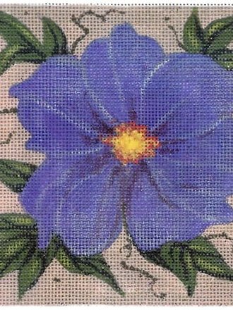 Peter Ashe PA18 Petunia