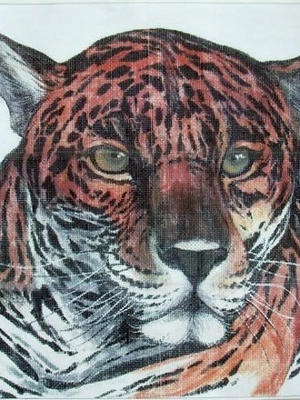 Peter Ashe PAN10 Jungle Tiger