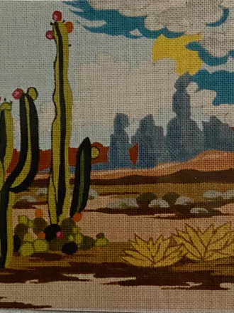 Peter Ashe PA22 Arizona Desert