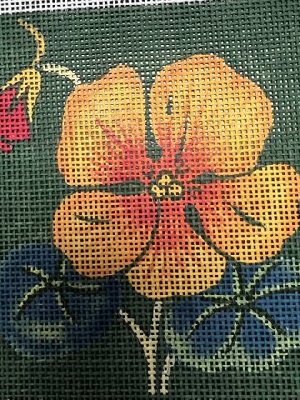 M1493 Nasturtium