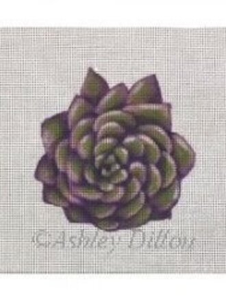 Ashley Dillon ADSP224 Succulent