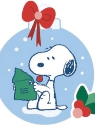 Officially Needlepoint ON3 Peanuts "Dear Santa"