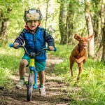 Niños