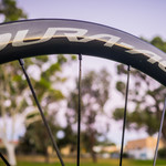 Shimano