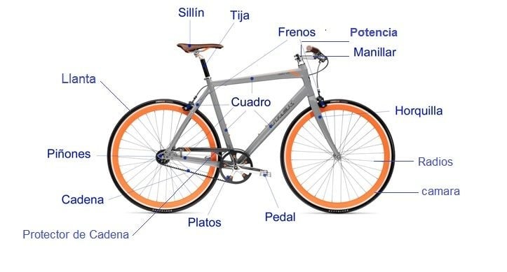 Sostener moneda zoo Partes de una bicicleta - WeRbikes Tienda de Bicicletas