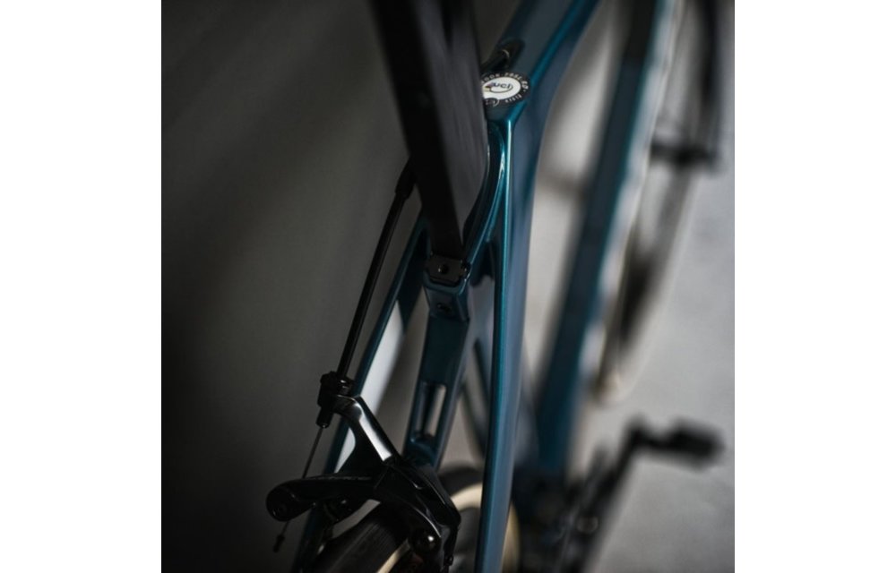 Look 795 Blade RS Force Axs